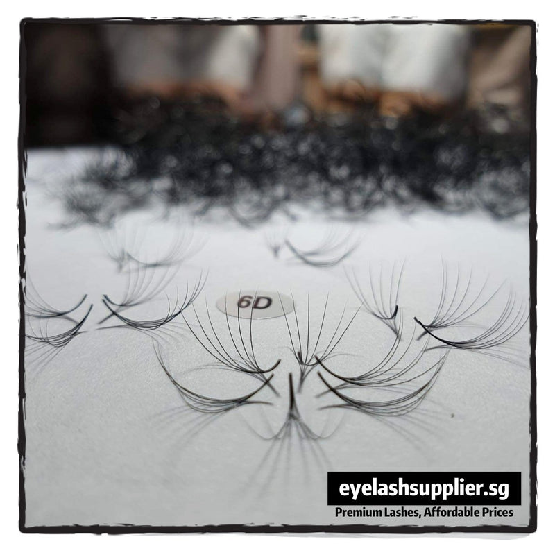 6D Glueless Handmade Fans D-Curl 0.07 - Eyelash Supplier Singapore